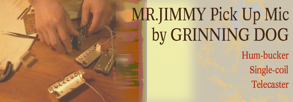 MR.JIMMY pick up mic